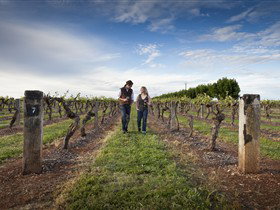 Coonawarra Wineries Walking Trail - Darwin Holiday 0