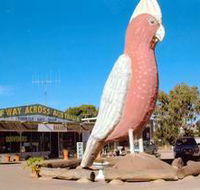 The Big Galah - Darwin Holiday