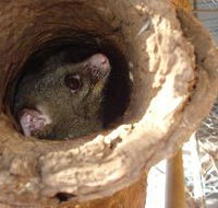 Mulga Sanctuary and Wildlife Park - Darwin Holiday