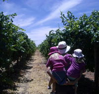 McLaren Vale Orchards - Darwin Holiday