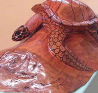 Ants Redgum Gallery - Darwin Holiday