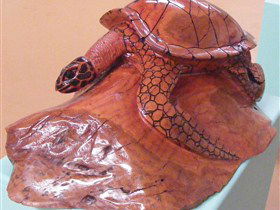 Ants Redgum Gallery - Darwin Holiday 0