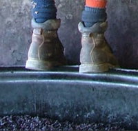 Fall From Grace - Darwin Holiday