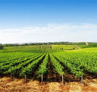 Aldinga Bay Winery - Darwin Holiday
