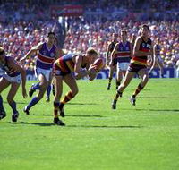 AAMI Stadium Tours - Darwin Holiday