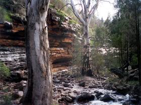 Mambray Creek SA Darwin Holiday