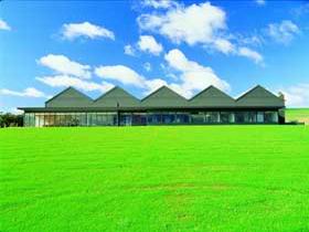 Shaw And Smith Winery - Darwin Holiday 0