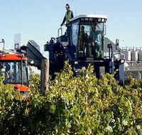 Ballast Stone Estate Wines Pty Ltd - Darwin Holiday