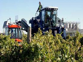 Ballast Stone Estate Wines Pty Ltd - Darwin Holiday 0