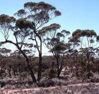 Clements Gap Conservation Park - Darwin Holiday