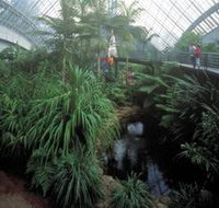 Bicentennial Conservatory - Darwin Holiday