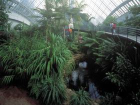Bicentennial Conservatory - Darwin Holiday 0
