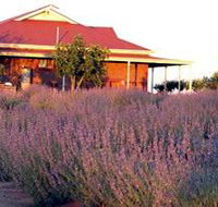 Bella Lavender Estate - Darwin Holiday
