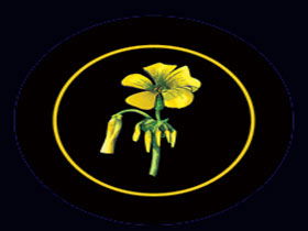 Battle Of Bosworth Wines - Darwin Holiday 0