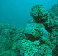 Adelaide's Underwater Heritage Trail - Darwin Holiday