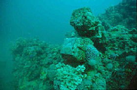 Adelaide's Underwater Heritage Trail - Darwin Holiday 0