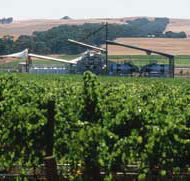 Kirrihill Wines - Darwin Holiday