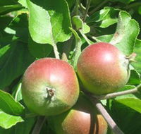 Sage Cooking School - Darwin Holiday