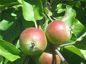 Sage Cooking School - Darwin Holiday 0