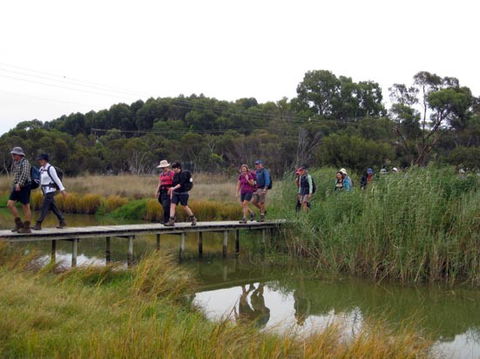 Lavender Federation Trail - Darwin Holiday 1
