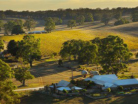 Hutton Vale And Farm Follies - Darwin Holiday 0