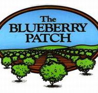 The Blueberry Patch - Darwin Holiday