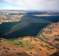 Mount Crawford Forest Reserve - Darwin Holiday