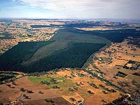 Mount Crawford Forest Reserve - Darwin Holiday 0