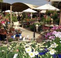 Serenity Nursery - Darwin Holiday