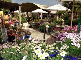 Serenity Nursery - Darwin Holiday 0