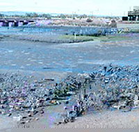 Jervois Basin Ships' Graveyard - Darwin Holiday