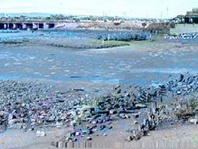 Jervois Basin Ships' Graveyard - Darwin Holiday 0