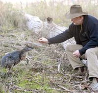 Sinclair's Gully - Darwin Holiday