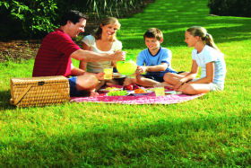 Bruny Island Berry Farm - Darwin Holiday 0