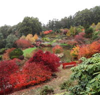 Emu Valley Rhododendron Garden - Darwin Holiday