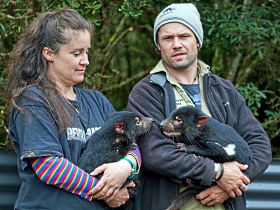 Cradle Mountain TAS Darwin Holiday