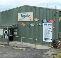 Stanley Seaquarium - Darwin Holiday