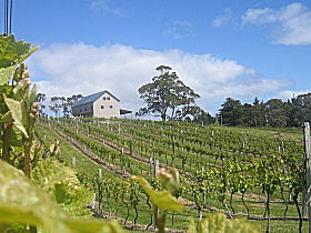 Bruny Island Premium Wines Bar And Grill - Darwin Holiday 0