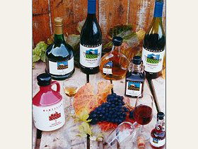 Hartzview Vineyard - Darwin Holiday 0