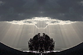 Aart. Gallery Of Fine Art - Darwin Holiday 0