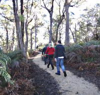 Bridport Walking Track - Darwin Holiday