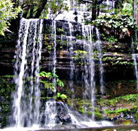 Mt Field National Park - Darwin Holiday