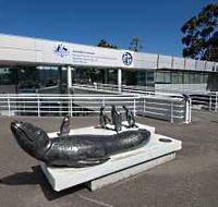 Australia's Antarctic Headquarters - Darwin Holiday