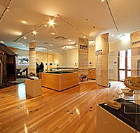 Tasmanian Tiger Exhibition - Darwin Holiday