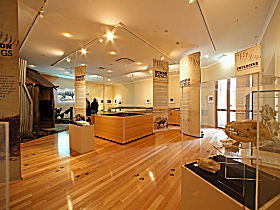 Tasmanian Tiger Exhibition - Darwin Holiday 0