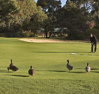 Royal Hobart Golf Club - Darwin Holiday