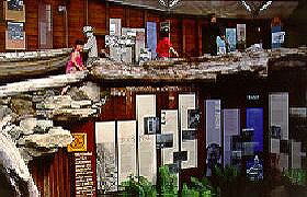 West Coast Visitor Information And Booking Centre - Darwin Holiday 0