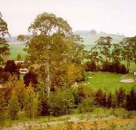 The Tasmanian Arboretum - Darwin Holiday