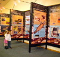 Platypus Experience - Darwin Holiday