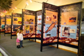 Platypus Experience - Darwin Holiday 0